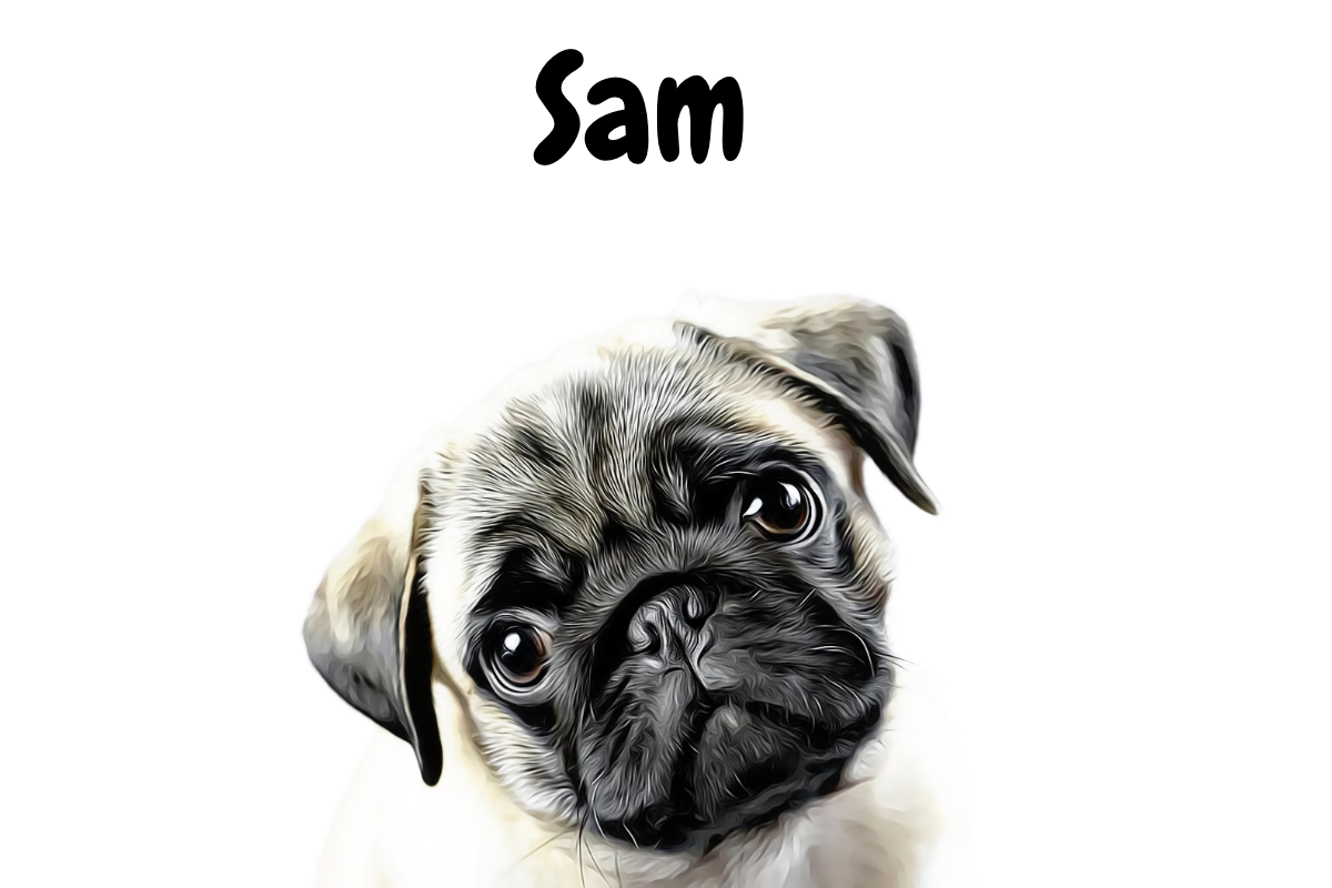 Digital Pet Portrait
